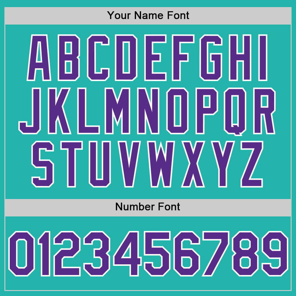 Custom Aqua Purple-White Line Authentic Baseball Jersey - Sky-Custom