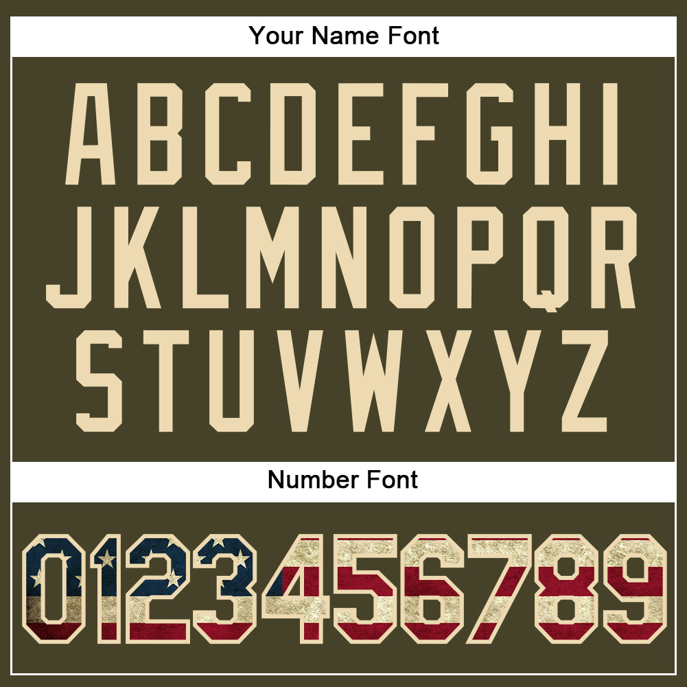 Custom Olive City Cream Pinstripe Vintage USA Flag Authentic Salute To Service Baseball Jersey - Sky-Custom