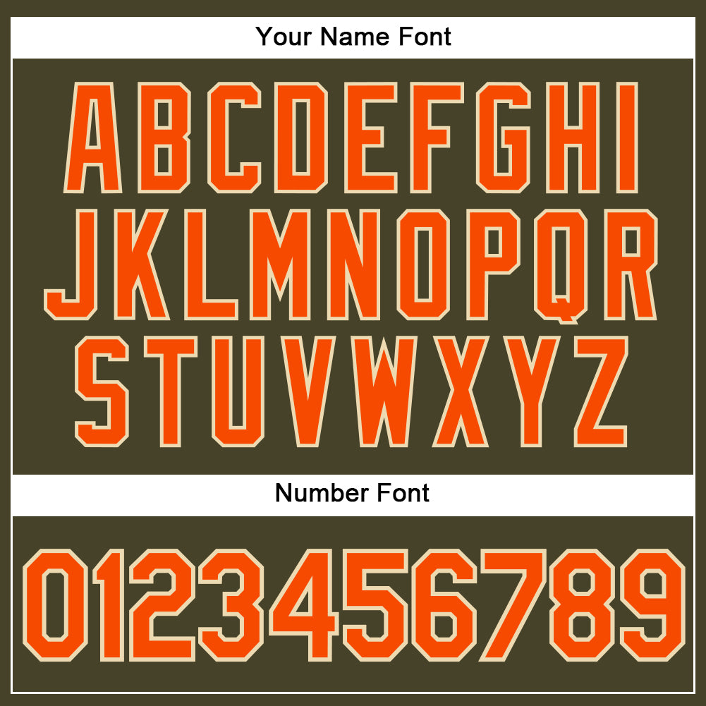 Custom Olive City Cream Pinstripe Orange Authentic Salute To Service Baseball Jersey - Sky-Custom