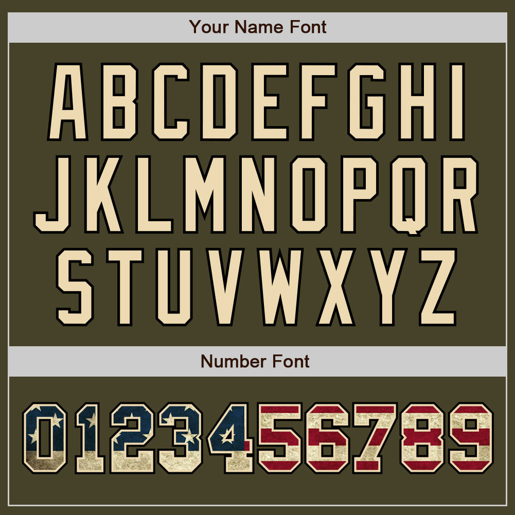 Custom Olive Vintage USA Flag-Black Authentic Two Tone Salute To Service Baseball Jersey - Sky-Custom