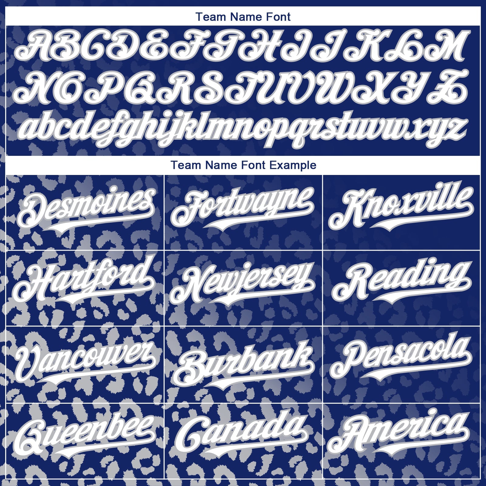 Custom Royal White-Gray 3D Pattern Design Leopard Print Fade Fashion Authentic Baseball Jersey - Sky-Custom