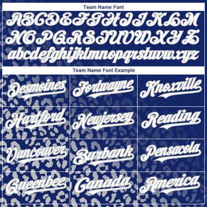 Custom Royal White-Gray 3D Pattern Design Leopard Print Fade Fashion Authentic Baseball Jersey - Sky-Custom