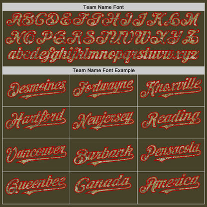 Custom Olive Camo Red-Cream Line Authentic Salute To Service Baseball Jersey - Sky-Custom