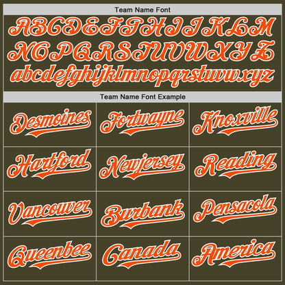Custom Olive Orange-White Line Authentic Salute To Service Baseball Jersey - Sky-Custom