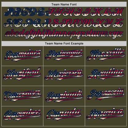 Custom Olive Vintage USA Flag Navy-Cream Line Authentic Salute To Service Baseball Jersey - Sky-Custom