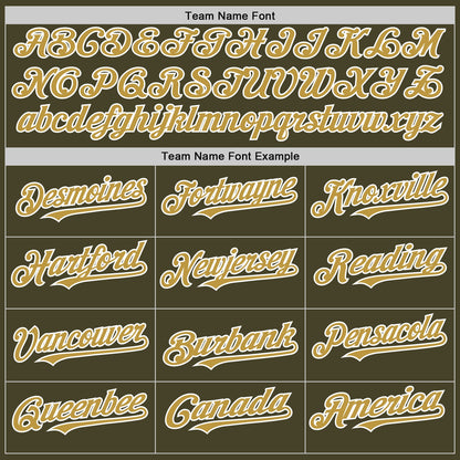 Custom Olive Old Gold-White Line Authentic Salute To Service Baseball Jersey - Sky-Custom