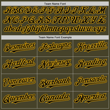 Custom Olive Black-Gold Line Authentic Salute To Service Baseball Jersey - Sky-Custom