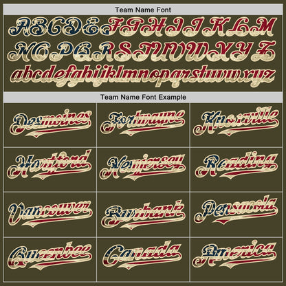 Custom Olive Vintage USA Flag Cream-Maroon Line Authentic Salute To Service Baseball Jersey - Sky-Custom