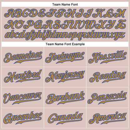 Custom Camo Old Gold-Royal Authentic Salute To Service Baseball Jersey - Sky-Custom