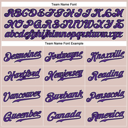 Custom Camo Purple-Black Authentic Salute To Service Baseball Jersey - Sky-Custom