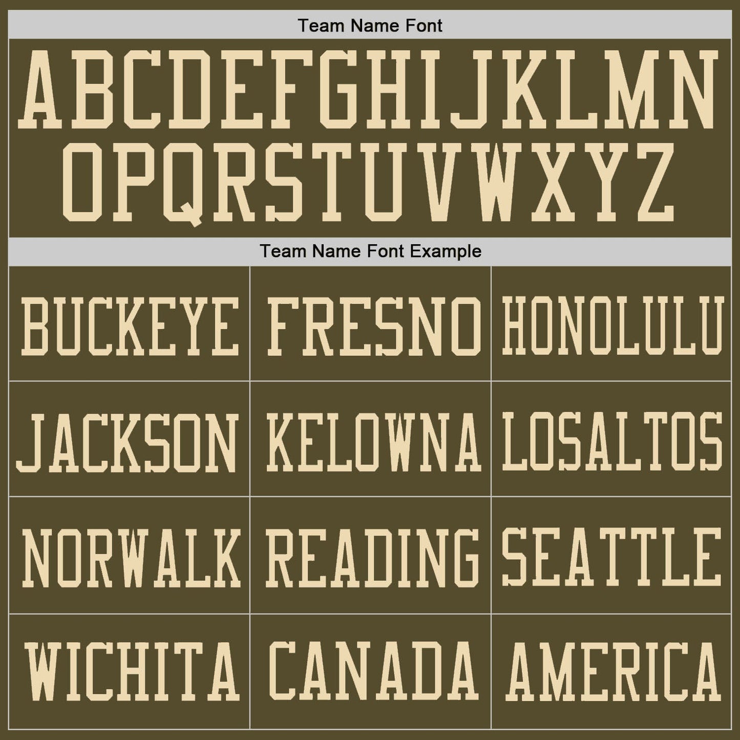 Custom Olive Olive-Cream Mesh Authentic Salute To Service Football Jersey - Sky-Custom