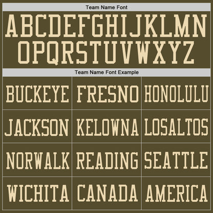 Custom Olive Olive-Cream Mesh Authentic Salute To Service Football Jersey - Sky-Custom