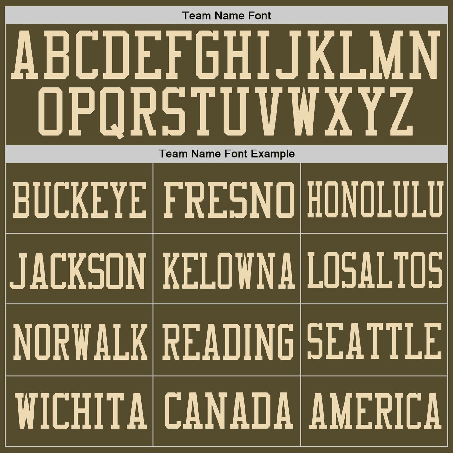 Custom Olive Vintage USA Flag-Cream Mesh Authentic Salute To Service Football Jersey - Sky-Custom