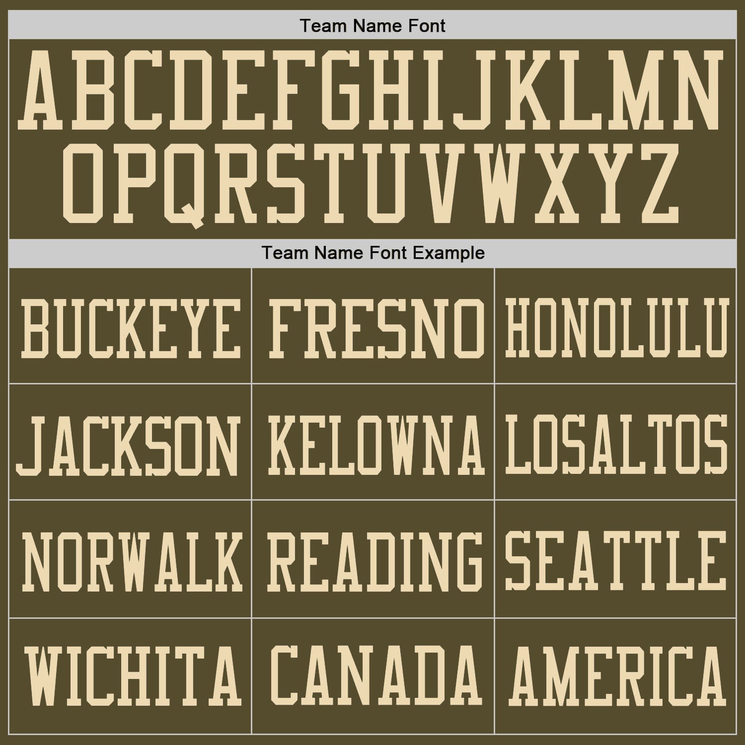 Custom Olive Vintage USA Flag-Cream Mesh Authentic Salute To Service Football Jersey - Sky-Custom