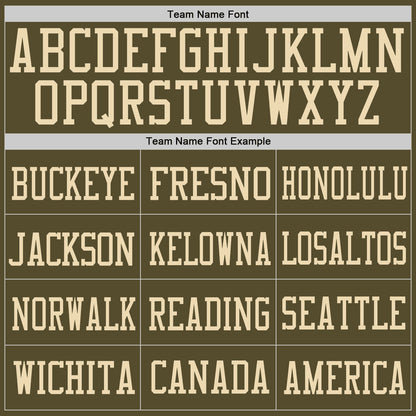 Custom Olive Vintage USA Flag-Cream Mesh Authentic Salute To Service Football Jersey - Sky-Custom