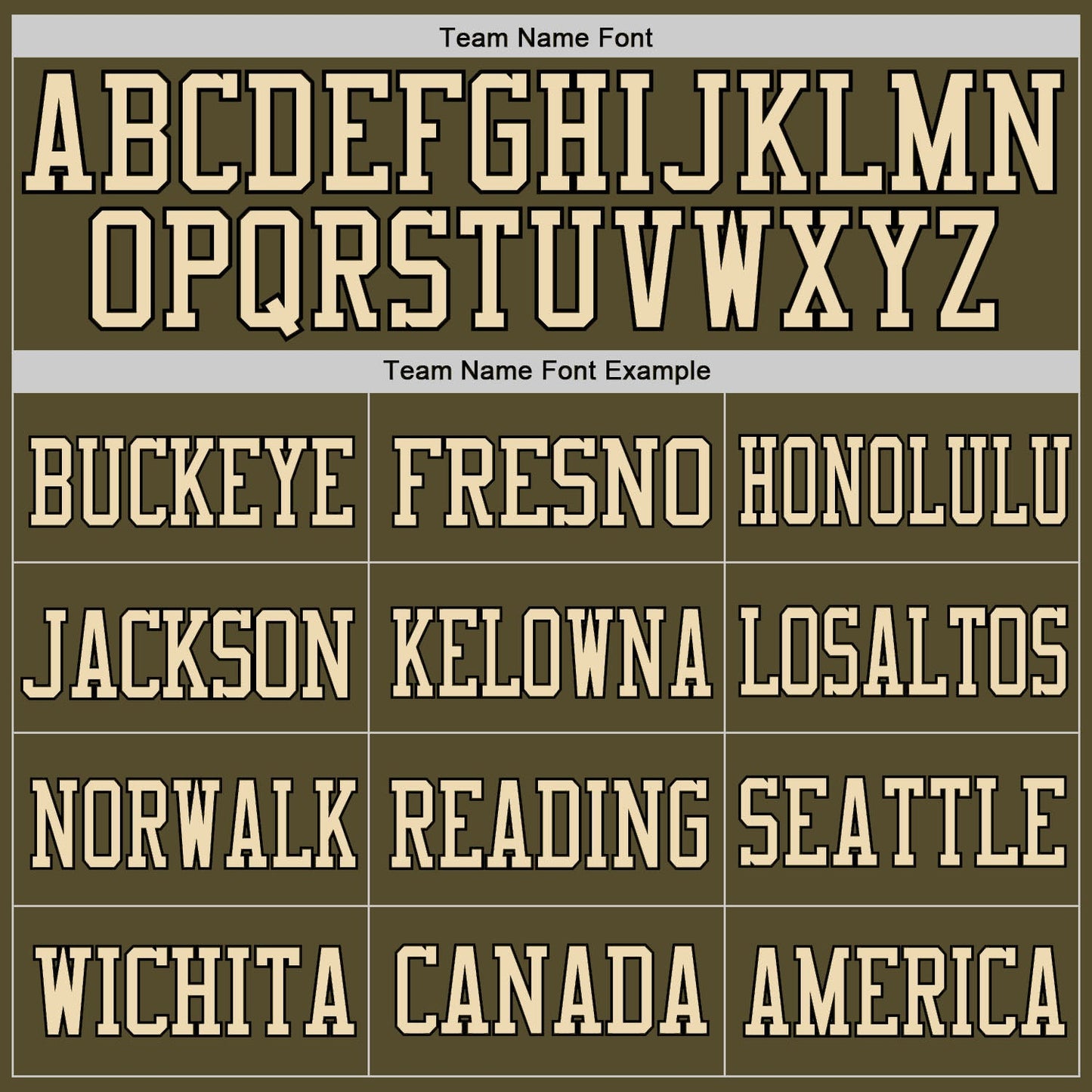 Custom Olive Camo-Black Mesh Authentic Salute To Service Football Jersey - Sky-Custom