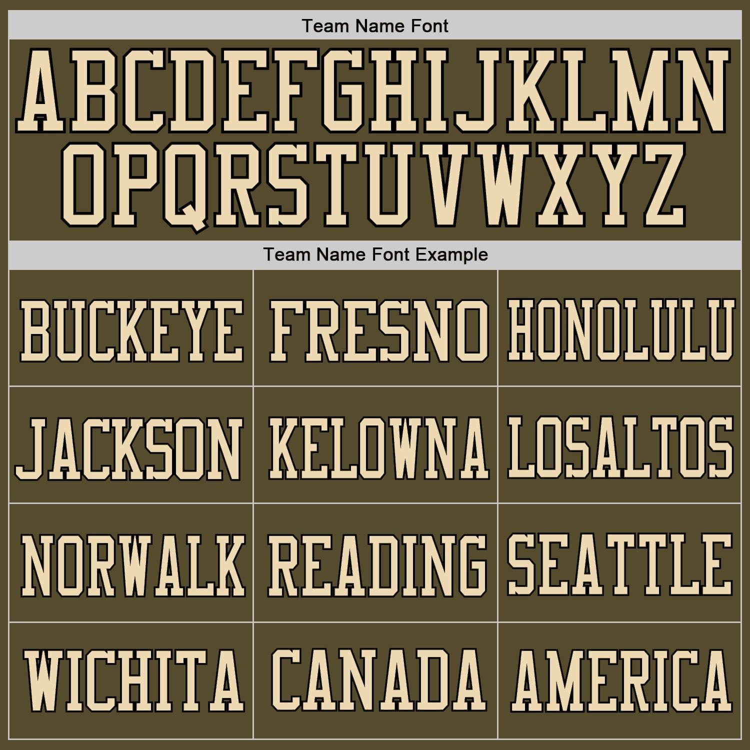 Custom Olive Camo-Black Mesh Authentic Salute To Service Football Jersey - Sky-Custom