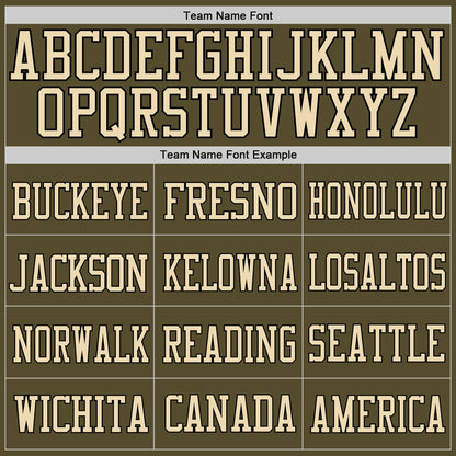 Custom Olive Camo-Black Mesh Authentic Salute To Service Football Jersey - Sky-Custom