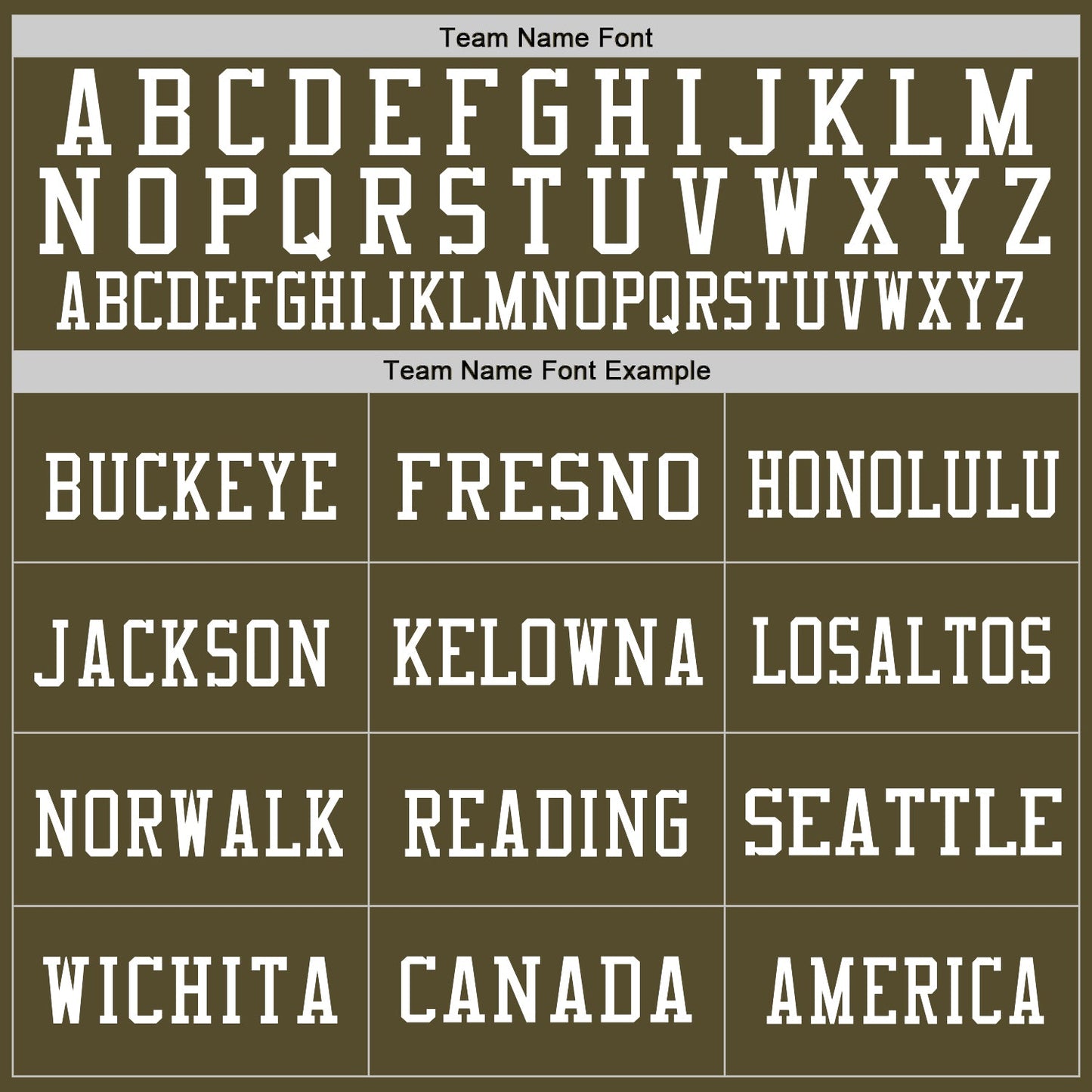 Custom Olive Vintage USA Flag-White Mesh Authentic Salute To Service Football Jersey - Sky-Custom