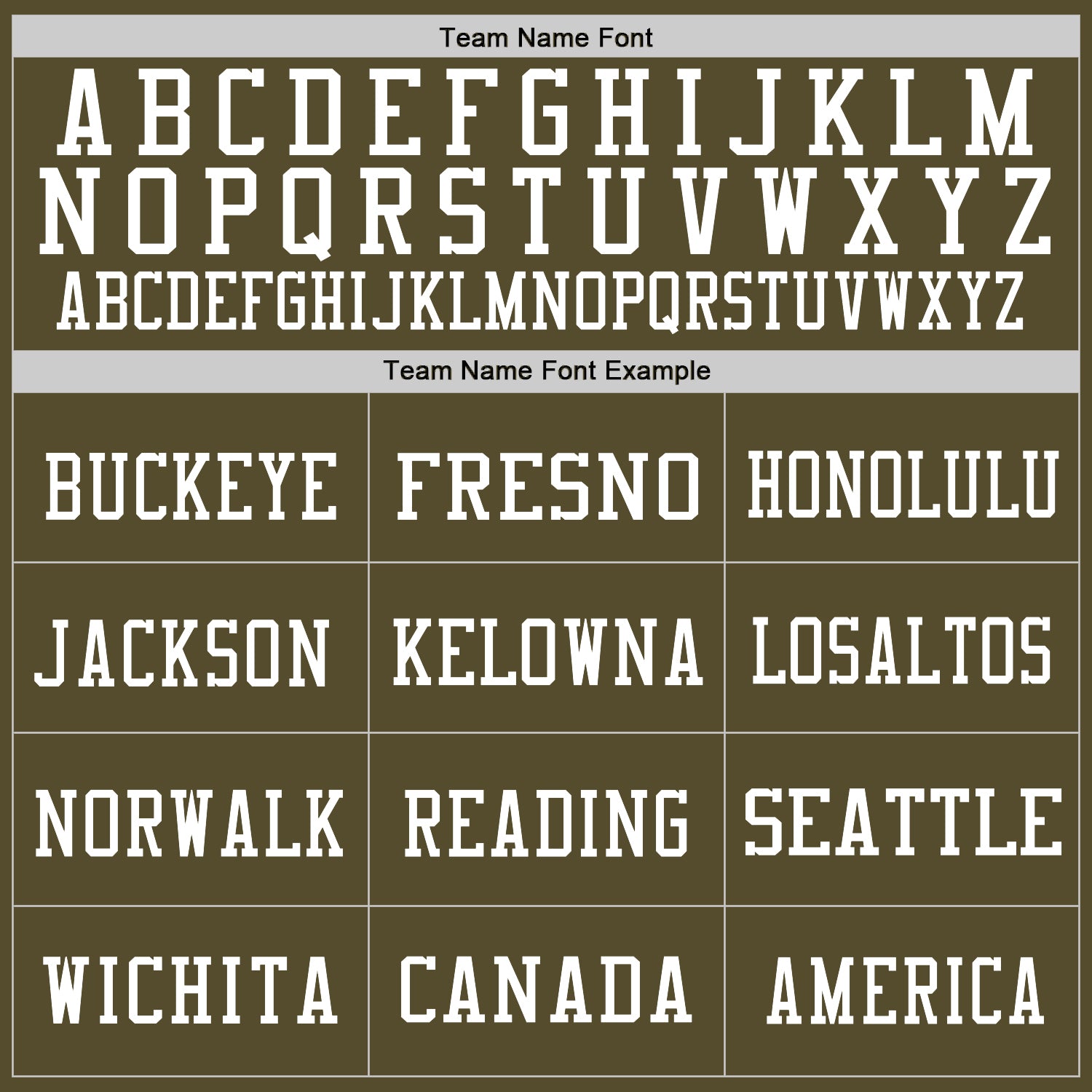 Custom Olive Vintage USA Flag-White Mesh Authentic Salute To Service Football Jersey - Sky-Custom