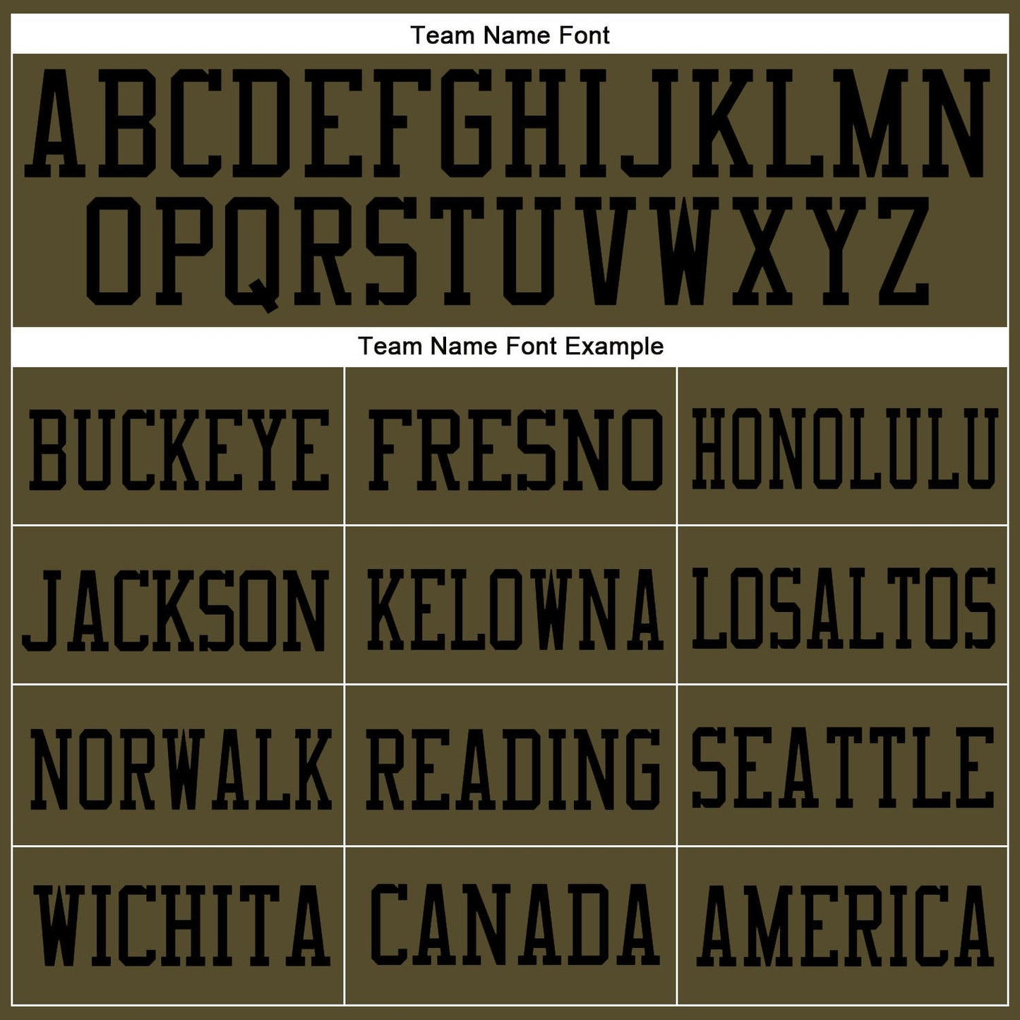 Custom Olive Black Mesh Authentic Salute To Service Football Jersey - Sky-Custom