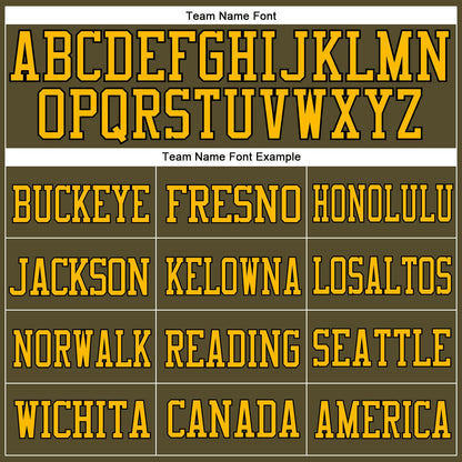 Custom Olive Black-Gold Mesh Authentic Salute To Service Football Jersey - Sky-Custom