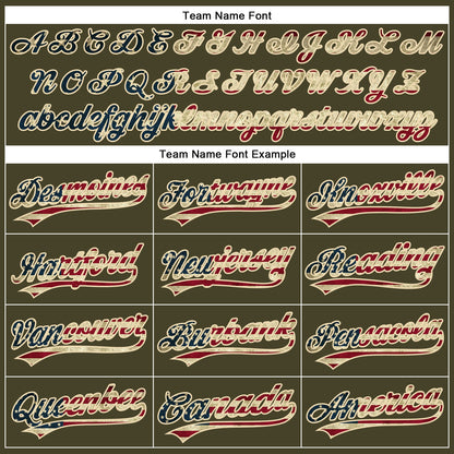 Custom Olive City Cream Pinstripe Vintage USA Flag Authentic Salute To Service Baseball Jersey - Sky-Custom