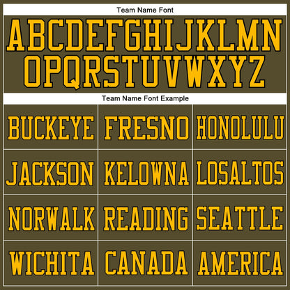 Custom Olive Gold-Black Mesh Authentic Salute To Service Football Jersey - Sky-Custom