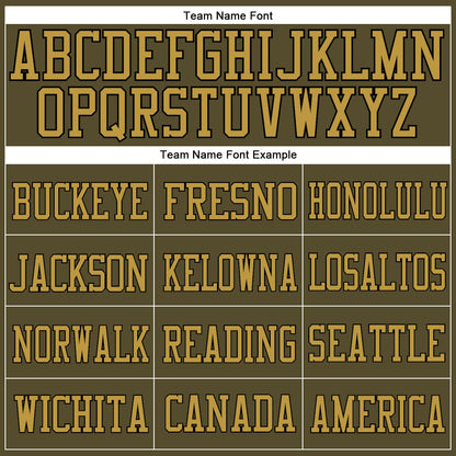 Custom Olive Old Gold-Black Mesh Authentic Salute To Service Football Jersey - Sky-Custom