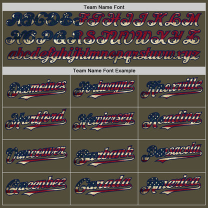 Custom Olive Vintage USA Flag-Navy Mesh Authentic Throwback Salute To Service Baseball Jersey - Sky-Custom
