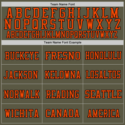 Custom Olive Orange-Black Mesh Authentic Throwback Salute To Service Football Jersey - Sky-Custom