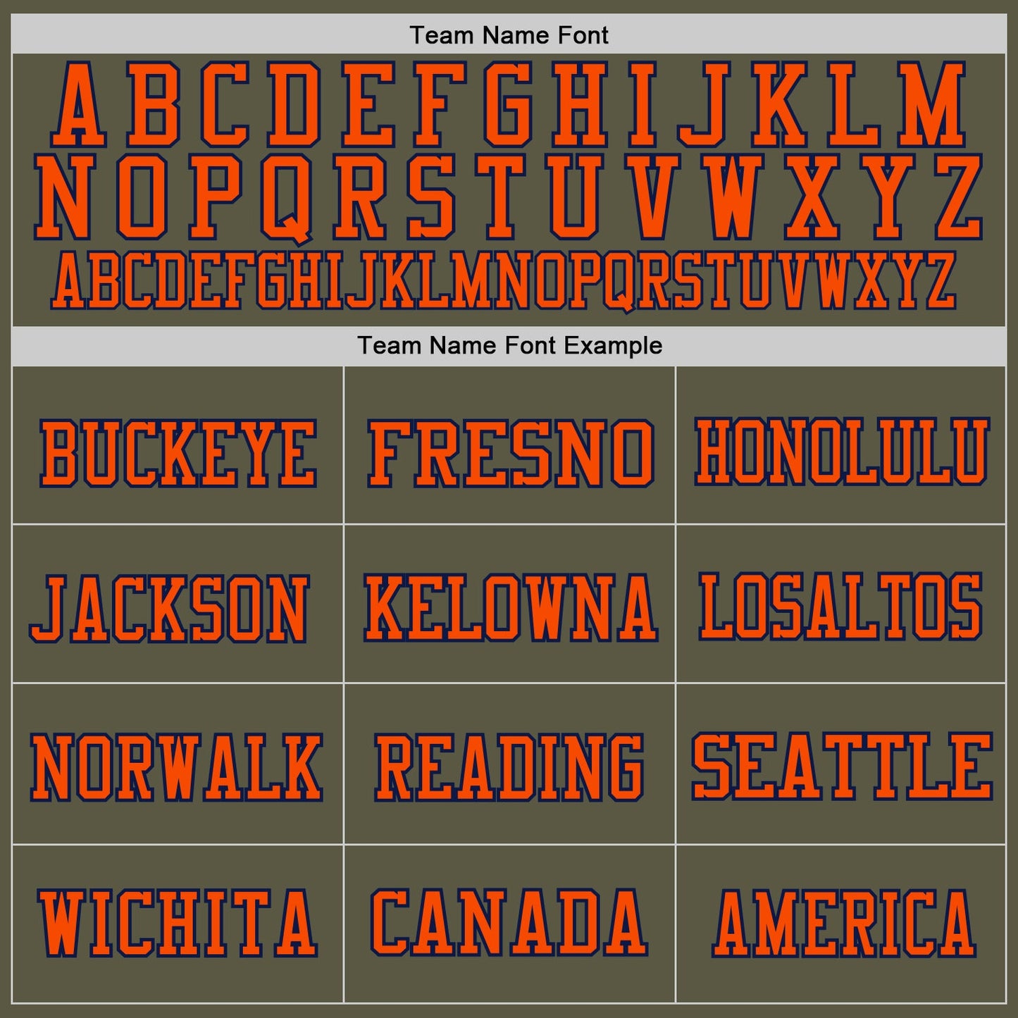 Custom Olive Orange-Navy Mesh Authentic Throwback Salute To Service Football Jersey - Sky-Custom