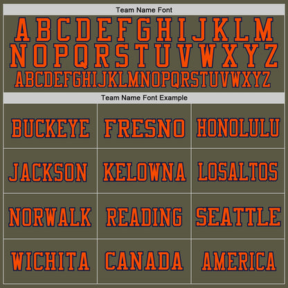 Custom Olive Orange-Navy Mesh Authentic Throwback Salute To Service Football Jersey - Sky-Custom