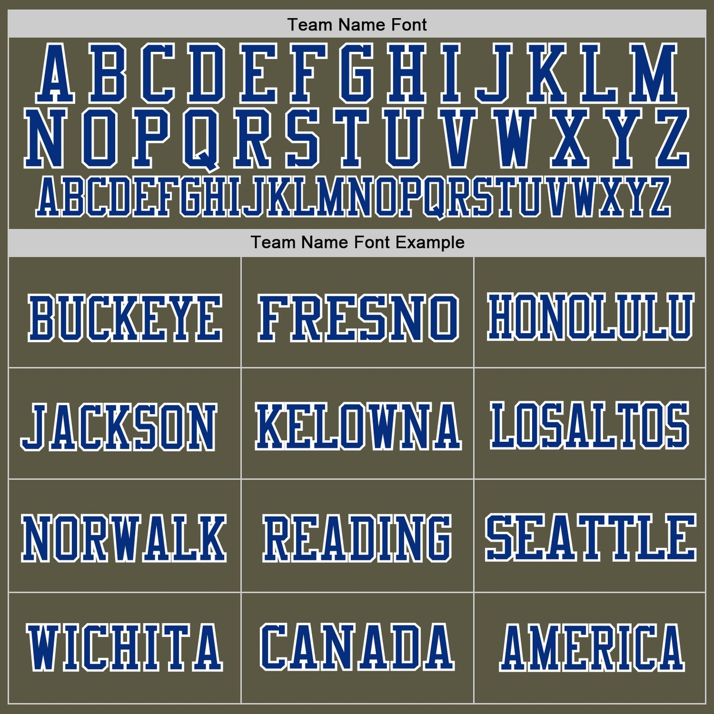 Custom Olive Royal-White Mesh Authentic Salute To Service Football Jersey - Sky-Custom