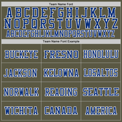 Custom Olive Royal-White Mesh Authentic Salute To Service Football Jersey - Sky-Custom