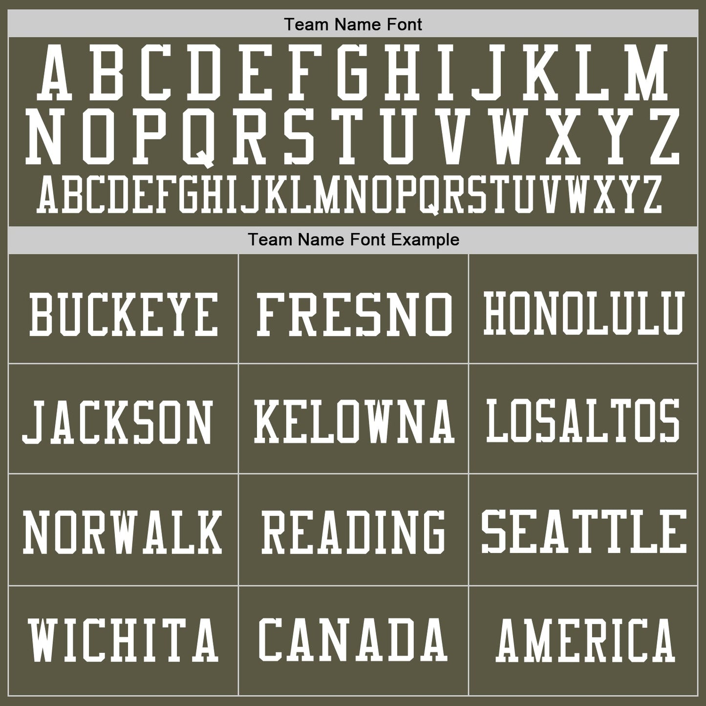 Custom Olive White Mesh Authentic Salute To Service Football Jersey - Sky-Custom