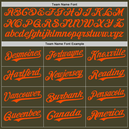 Custom Olive Orange Authentic Salute To Service Baseball Jersey - Sky-Custom