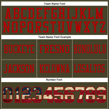 Custom Olive Vintage USA Flag-Red Mesh Authentic Salute To Service Football Jersey - Sky-Custom