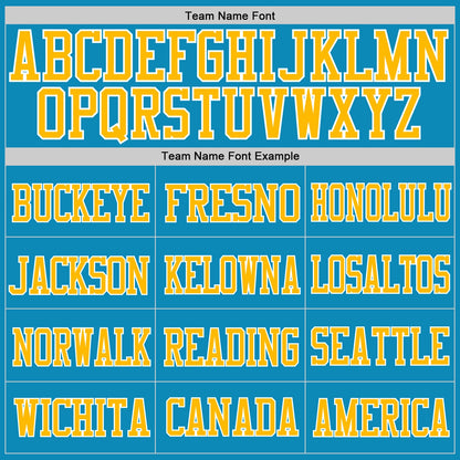 Custom Panther Blue Gold-White Mesh Authentic Football Jersey - Sky-Custom