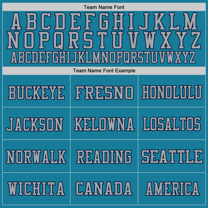 Custom Panther Blue Navy-Gray Mesh Authentic Football Jersey - Sky-Custom