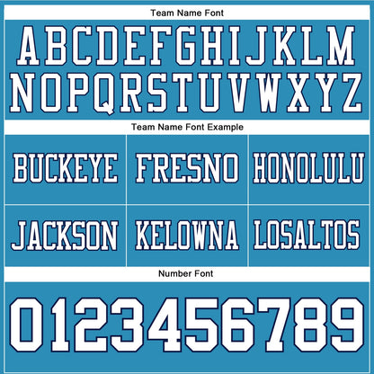 Custom Panther Blue White-Navy Mesh Authentic Football Jersey - Sky-Custom