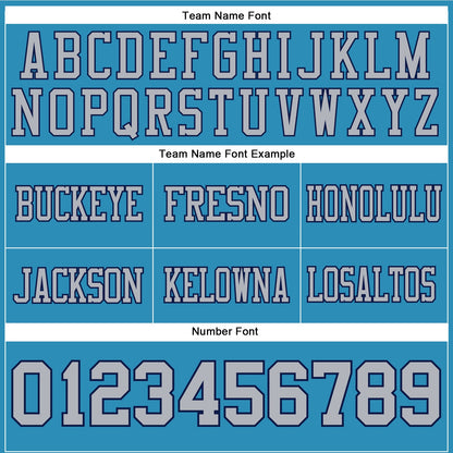 Custom Panther Blue Gray-Navy Mesh Authentic Football Jersey - Sky-Custom