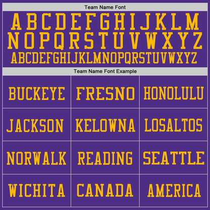 Custom Purple Gold Mesh Authentic Throwback Football Jersey - Sky-Custom