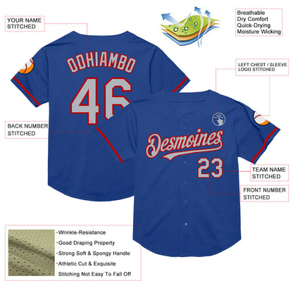 Custom Royal Gray-Red Mesh Authentic Throwback Baseball Jersey - Sky-Custom