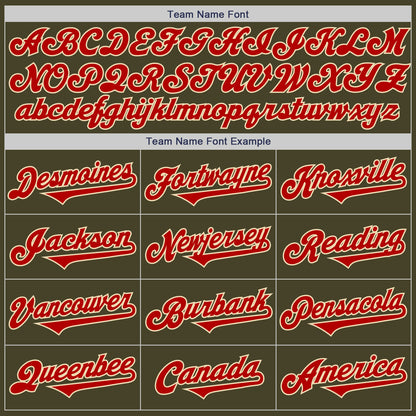 Custom Olive Red-Cream Authentic Two Tone Salute To Service Baseball Jersey - Sky-Custom