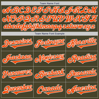 Custom Olive Orange-White Authentic Two Tone Salute To Service Baseball Jersey - Sky-Custom