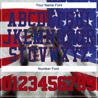 Custom White Red-Royal 3D American Flag Fashion Authentic Baseball Jersey - Sky-Custom