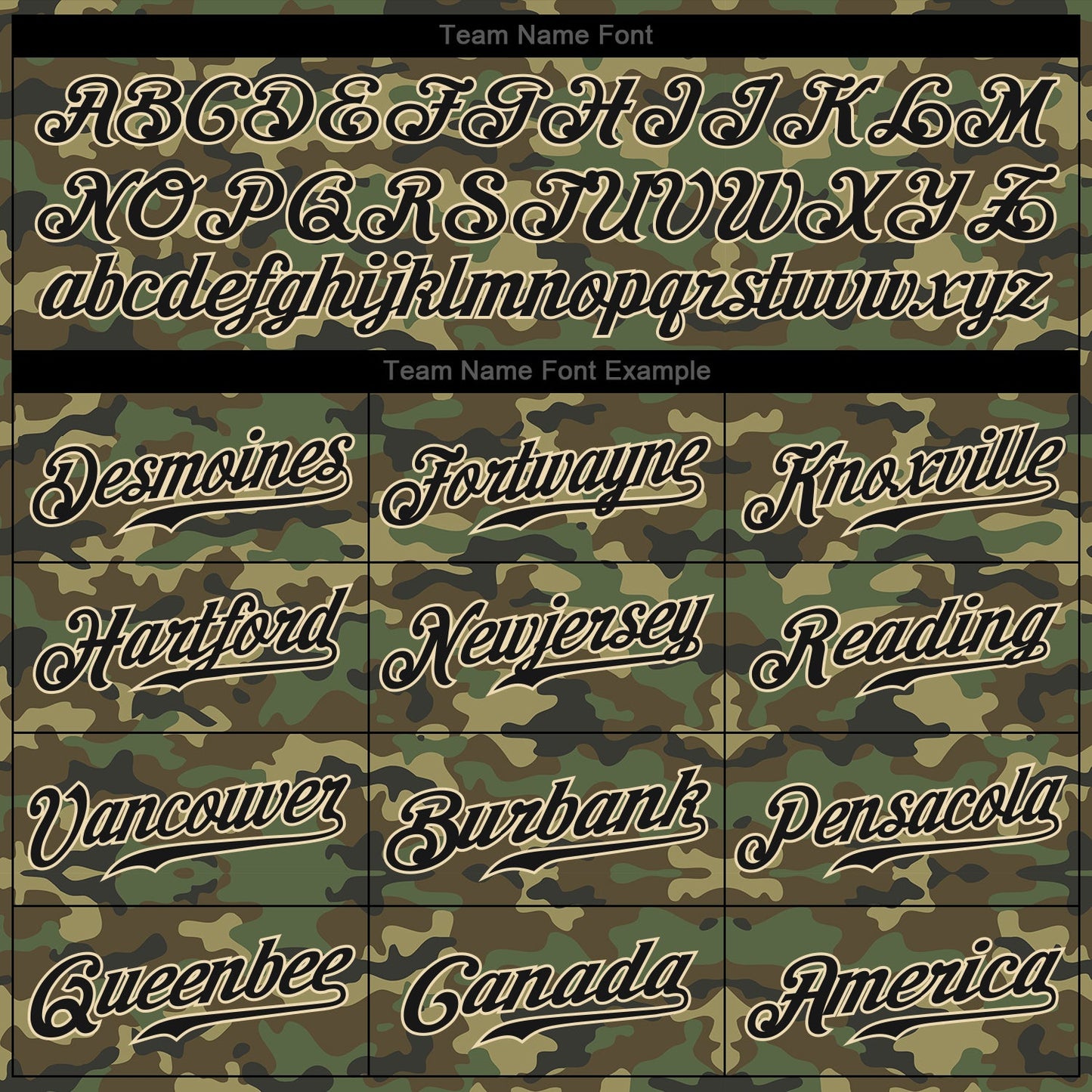 Custom Camo Black-City Cream Authentic Salute To Service Baseball Jersey - Sky-Custom