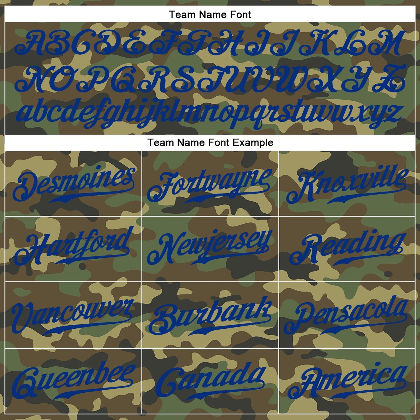 Custom Camo Royal-Red Authentic Salute To Service Baseball Jersey - Sky-Custom