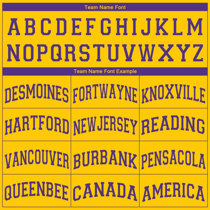 Custom Gold Purple V-Neck Basketball Jersey - Sky-Custom